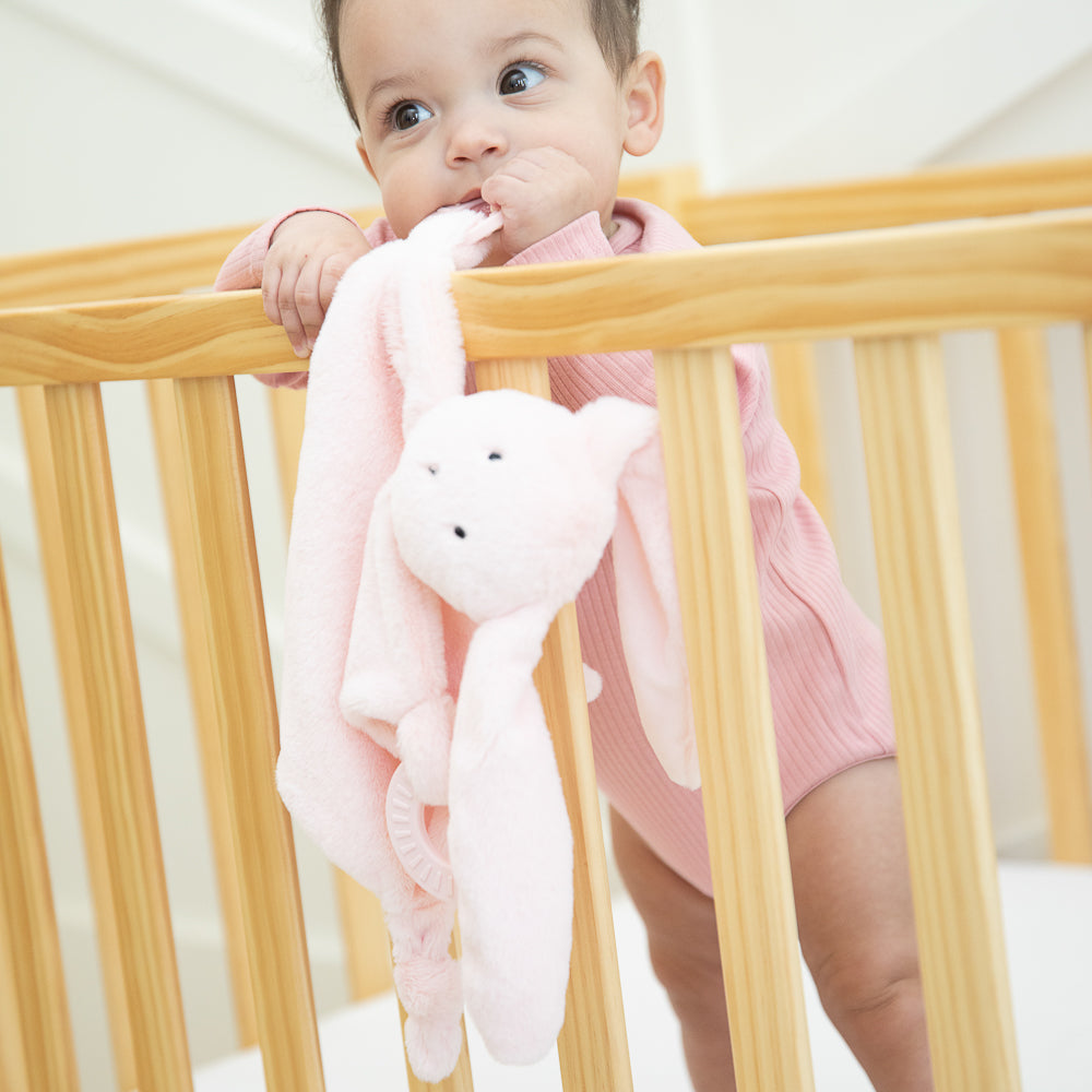 Bunny Teether Buddy